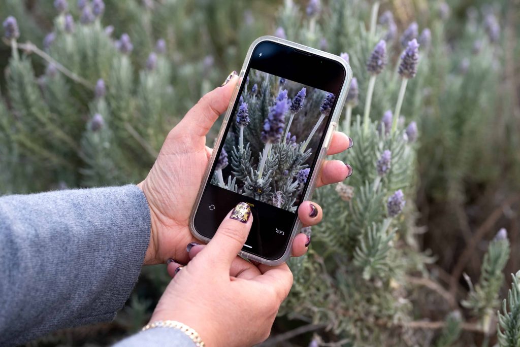 צילום תמונה לדיווח תצפית באפליקציית iNaturalist