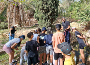 ביובליץ בנאות סמדר. צילום: ענת שאול