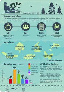 דוגמה לסיכום ביובליץ - Lee Bay Bioblitz 2017