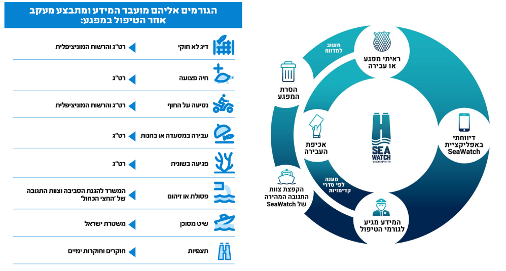 דרך הפעולה של מיזם SeaWatch
