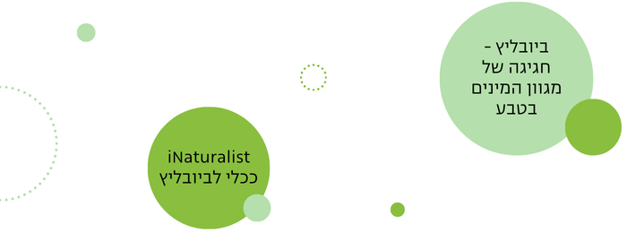 תוכן הפרק