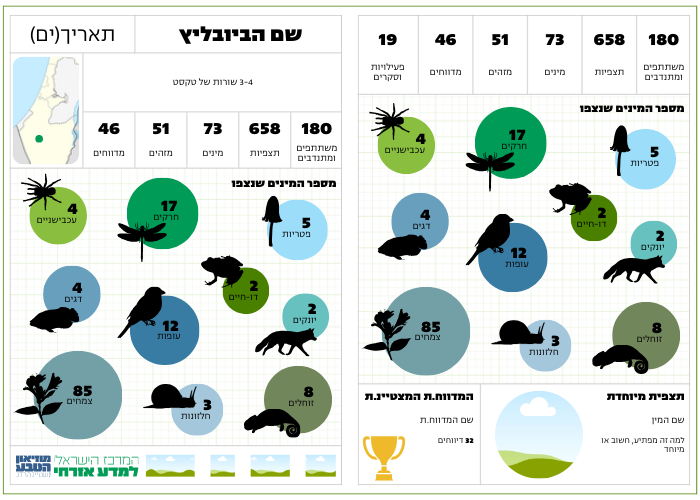 תבניות לאינפוגרפיקה לסיכום ביובליץ